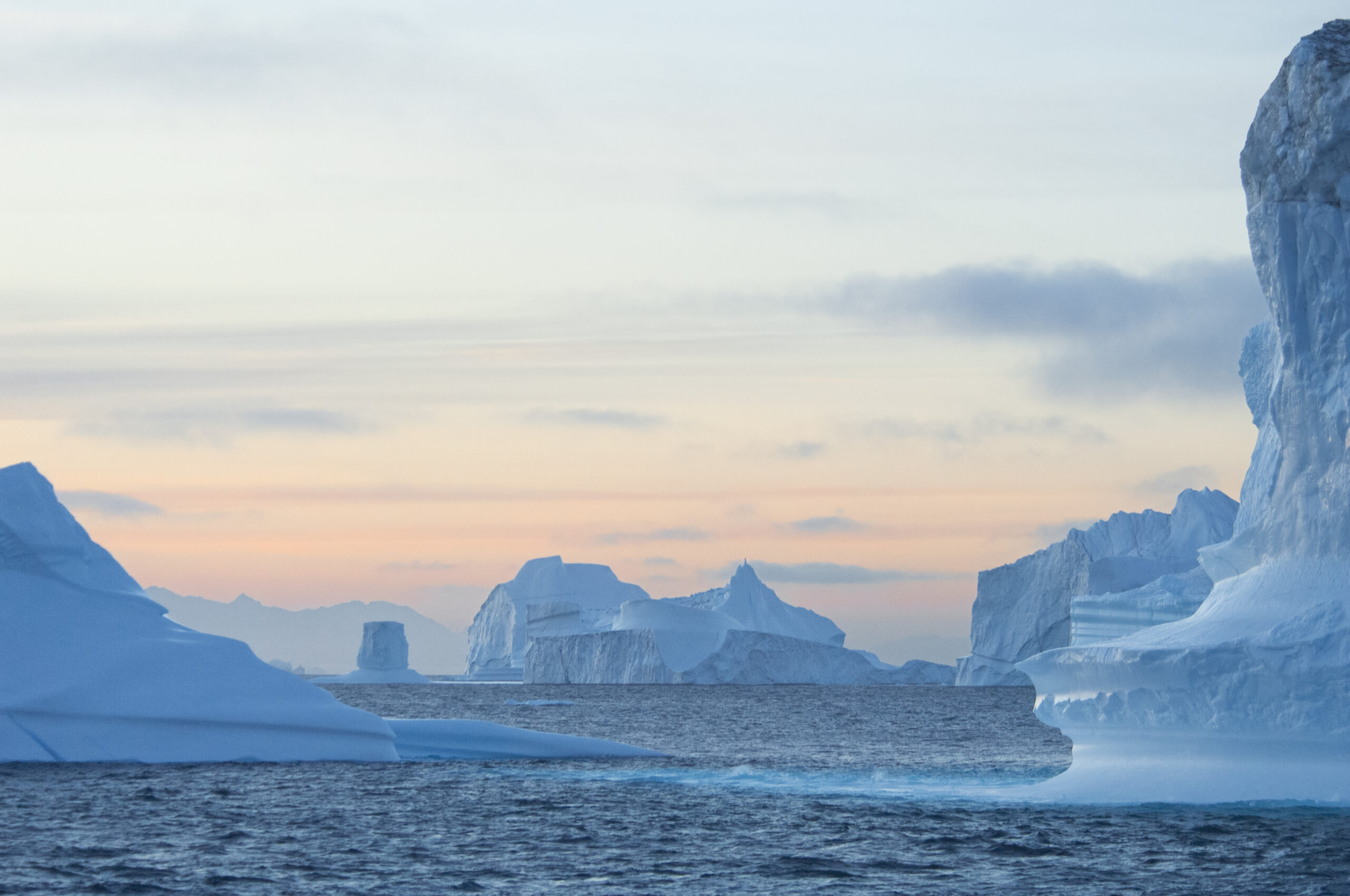 Arctic seascape with floating icebergs at sunrise, symbolising climate impact — featured on the G13+ website designed by Montpellier Creative