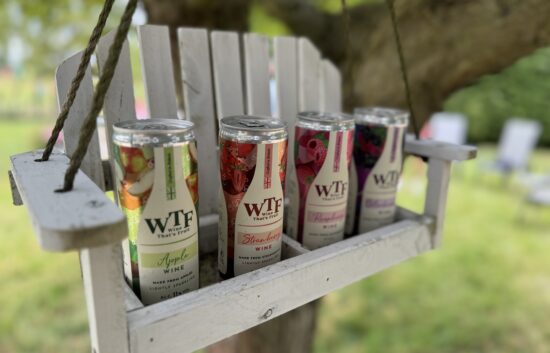 Photo shoot image of WTF canned fruit wines displayed on a rustic white wooden swing, set outdoors in a leafy garden, showcasing vibrant product packaging for a drinks client